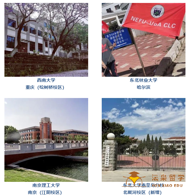 新西兰留学：关于奥克兰大学中国学习中心介绍