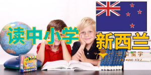 我家孩子是2003年4月生日，计划去新西兰留学，不知道有什么要求？