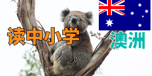 老师，我孩子现在初三，没有考过雅思，想去澳洲读公立高中，请问布里斯班Rochedale区现在还有没有学校可以申请？需要读语言班吗？