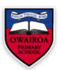 老师，我孩子现在国内二年级，8岁，想去新西兰东区小学微留学，请问哪个学校可以申请？