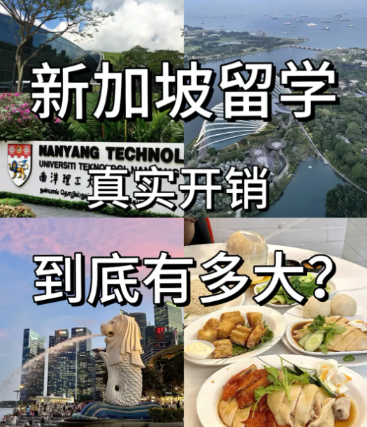 新加坡低龄留学一年花多少钱？这份“吞金兽”账单，家长必看！